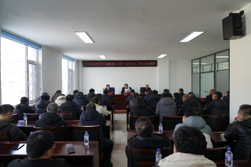 投资担保行业新动态：舒兰模式引领未来