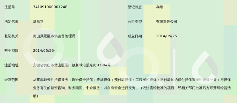 舒兰市担保公司的市场风云